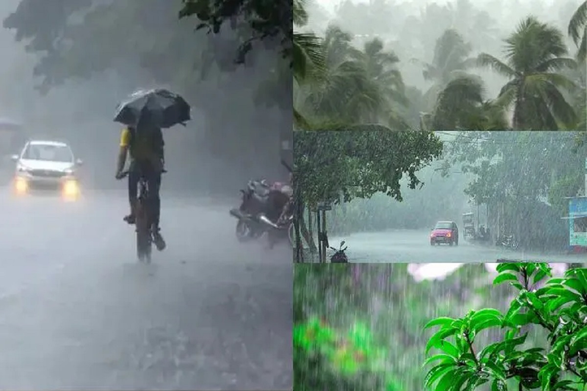 Monsoon Update: کیرلہ میں دیر سے پہنچا مانسون ، موسلادھار بارش سے خوشگوار ہوا موسم