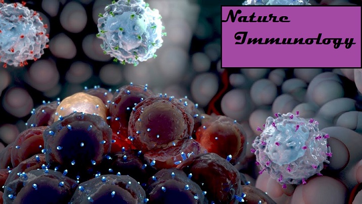 Nature Immunology: A Study Of Antibodies Reaction To The Body