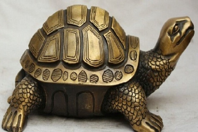 tortoise according to Feng Shui