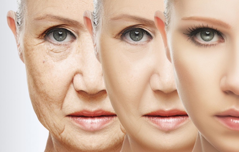 The Effects Of Ageing Can Be Slowed Down