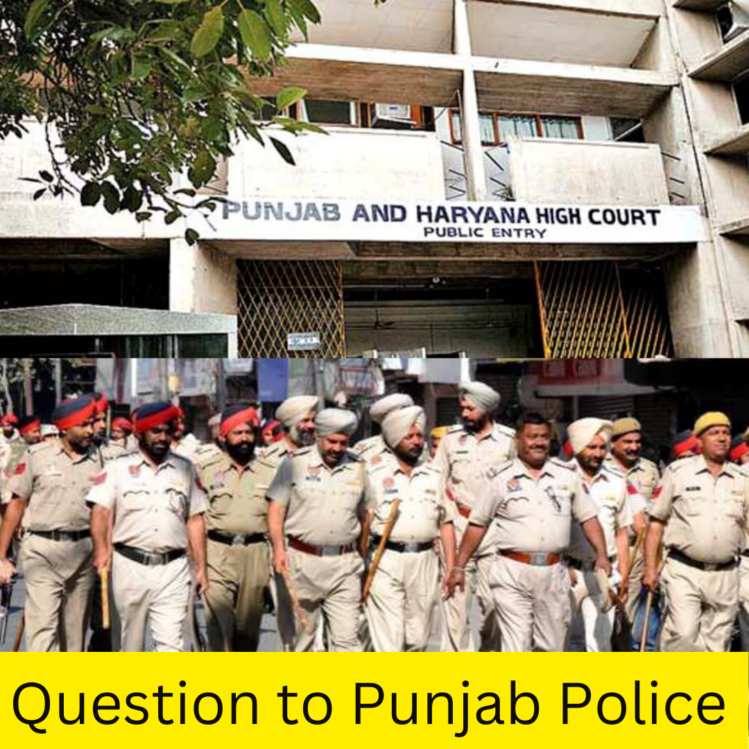 80,000 Police Officials Could Not Catch One Amritpal Singh; Court Questions Punjab Police Over His Escape