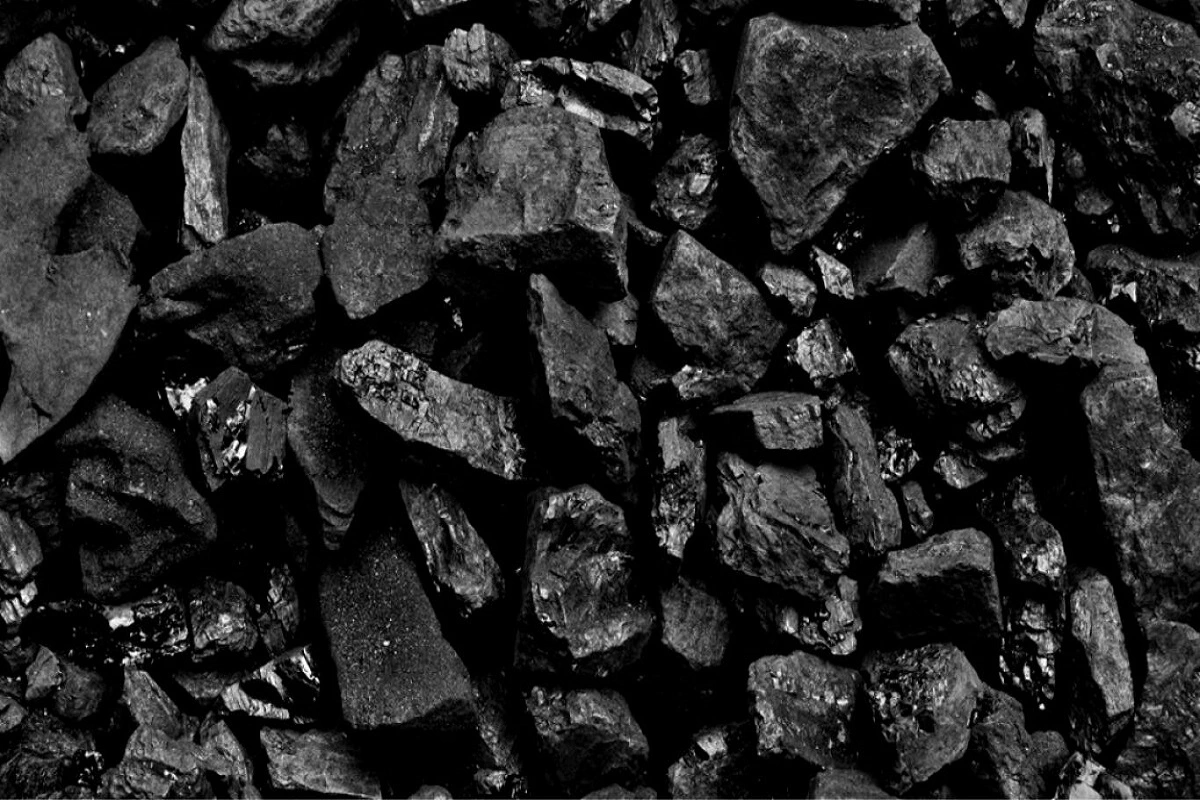 Coal