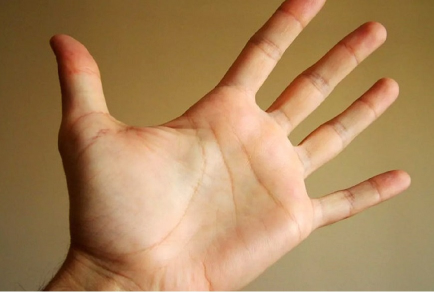 Palmistry: Special Marks on Your Palm Are The Indication of Special Fortunes
