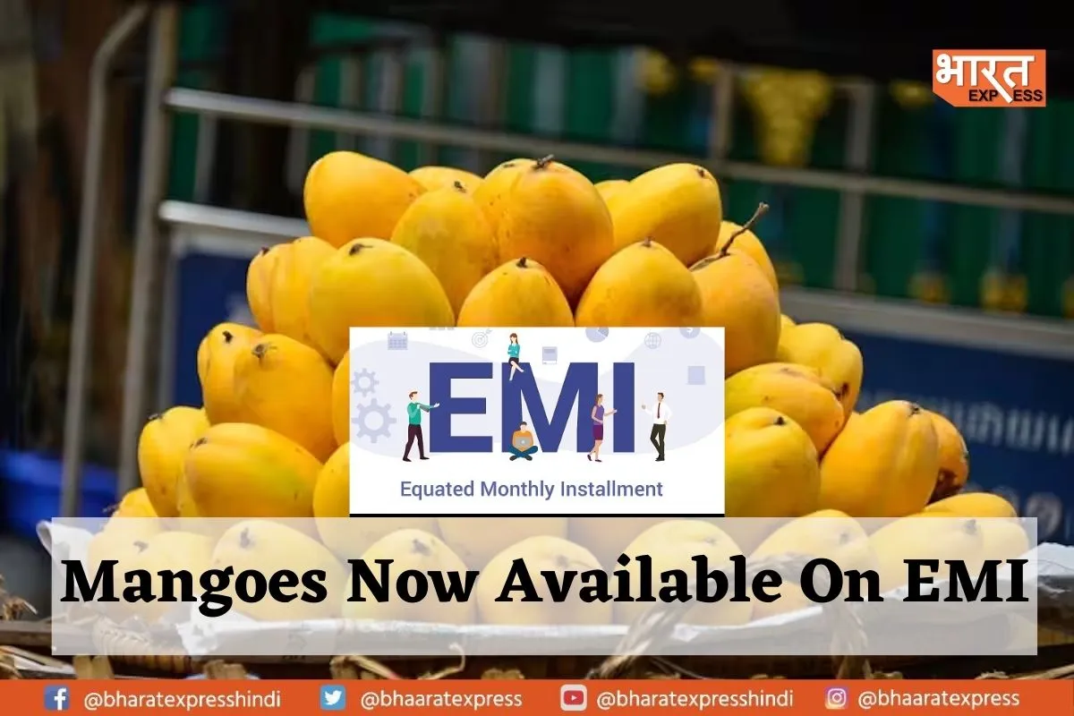 Alphonso Mangoes Now Available On EMI