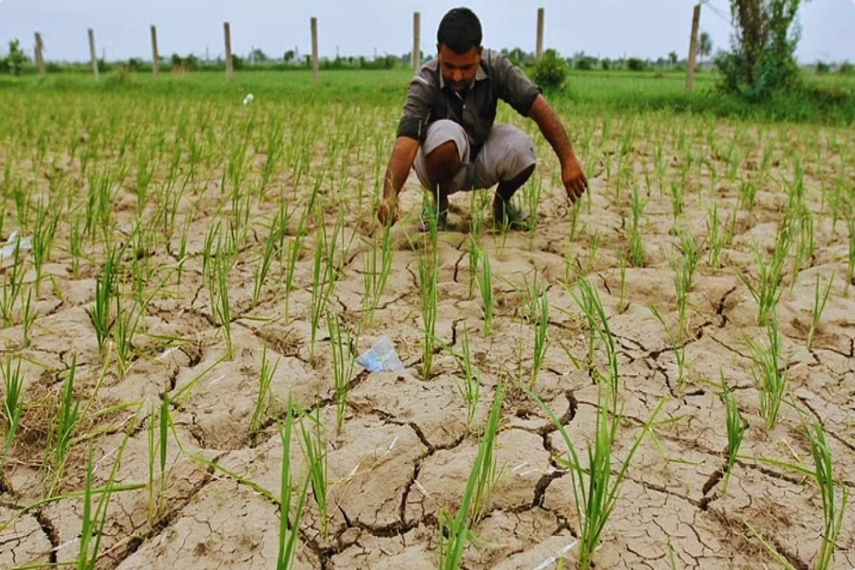 Farmers In UP To Be Compensated For Recent Crop Damage