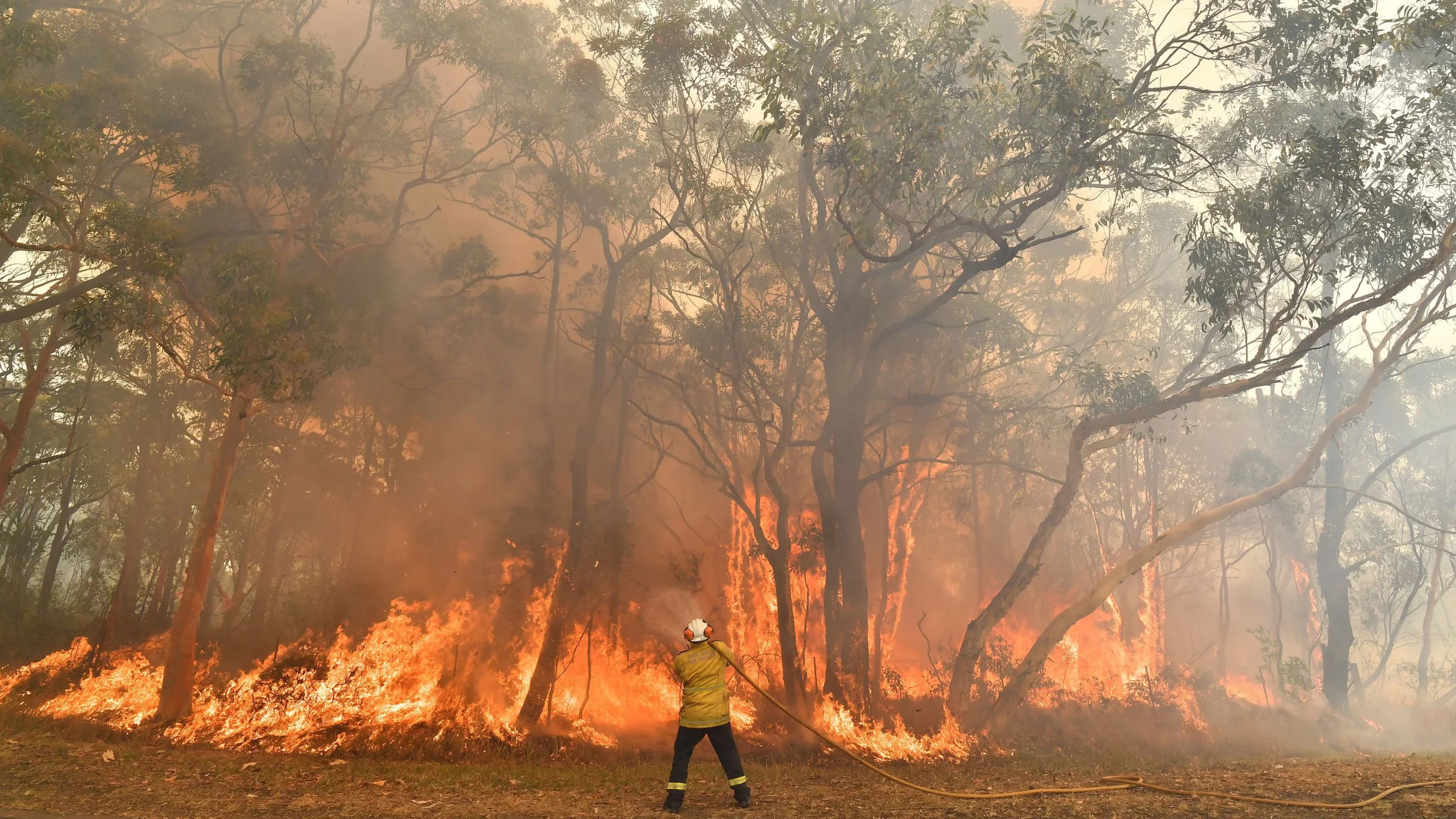 Australian Wildfires Most Likely Contributed To Rare La Nina Occurrence