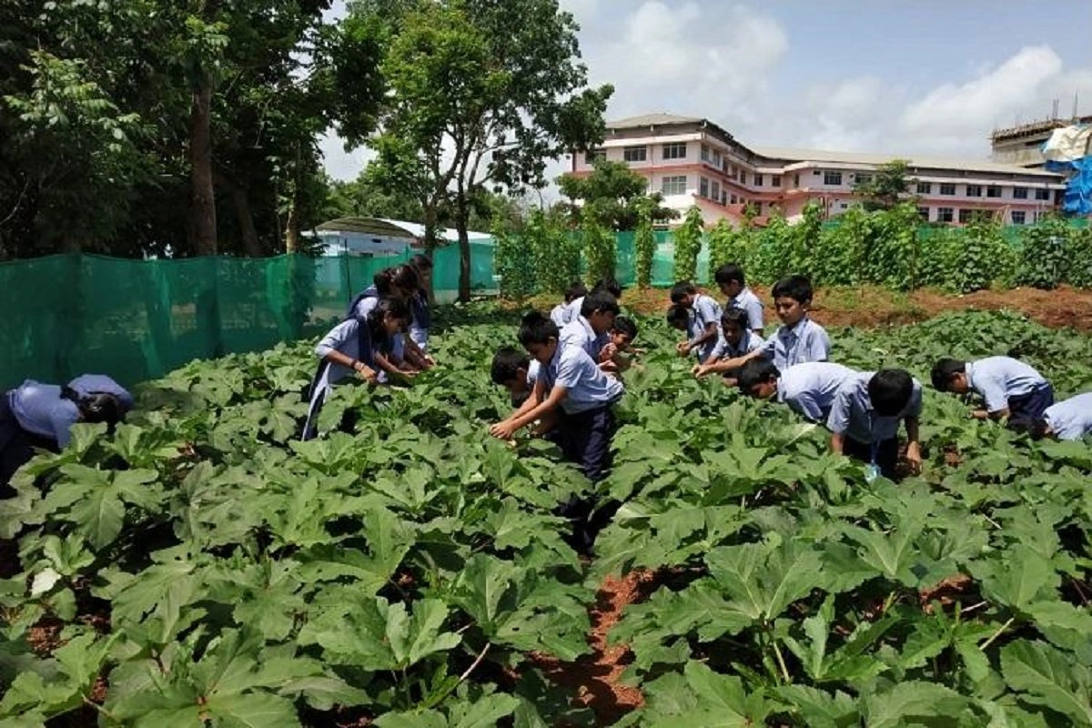 Hands-on training