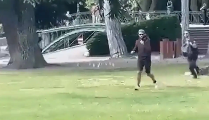 VIRAL Video: French Man Stabs 5 People In Park; Arrested