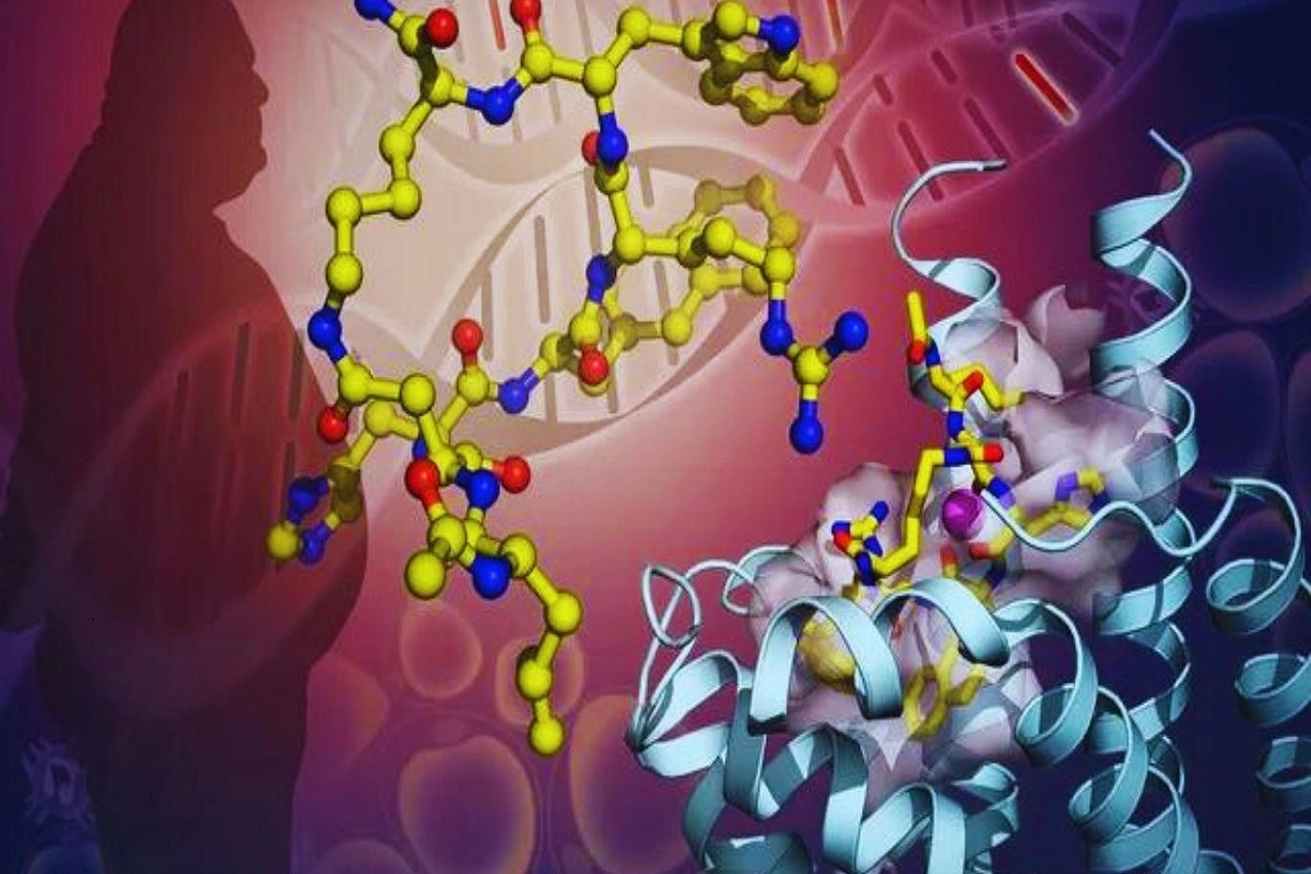 New Protein Structure Discovery Could Lead To Obesity Treatments