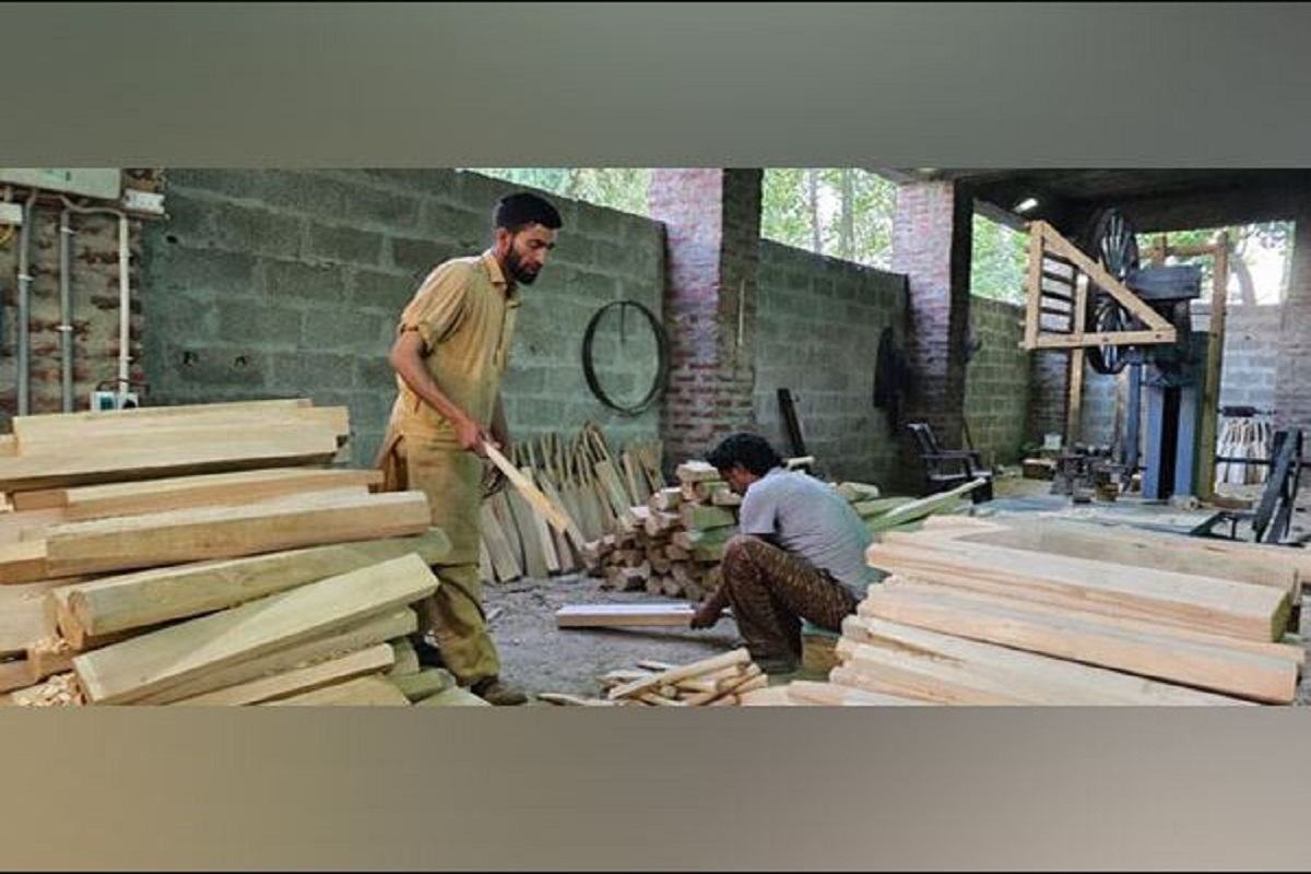 From local trade to global phenomenon: Kashmir willow bats make grand slam in International Cricket