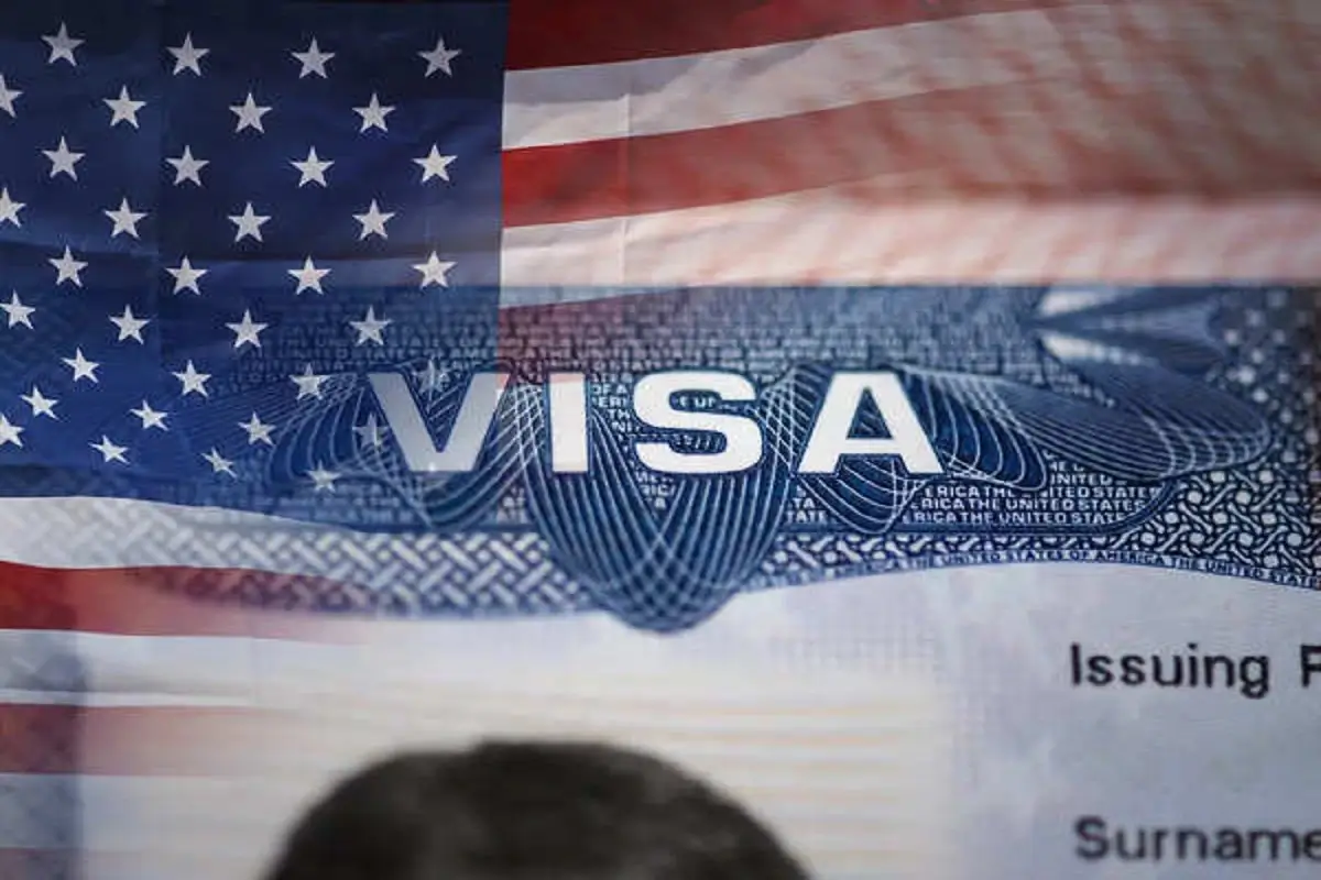 Making Push To Process As Many Visa Applications As Possible In India: US