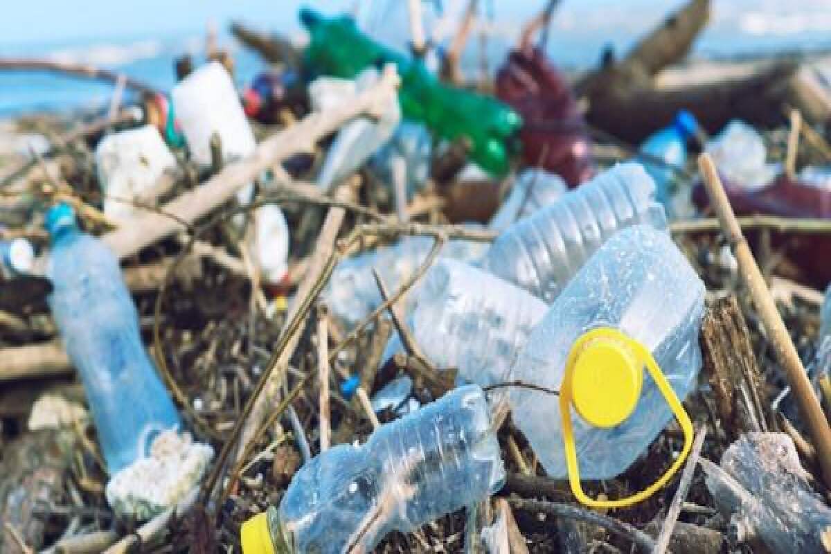 Nagaland Reinforces Complete Ban On Single-Use Plastics