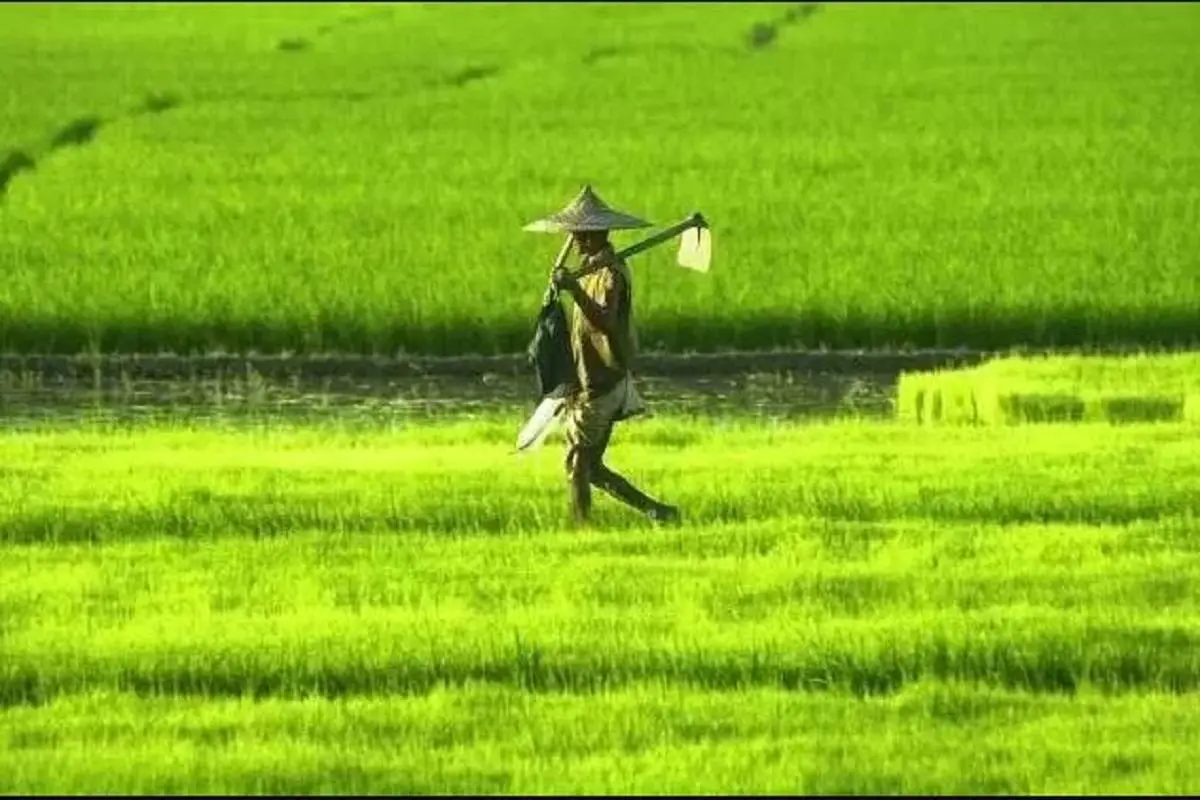 Rs 250 Cr Agri Fund Launched In Assam To Boost Agribusiness